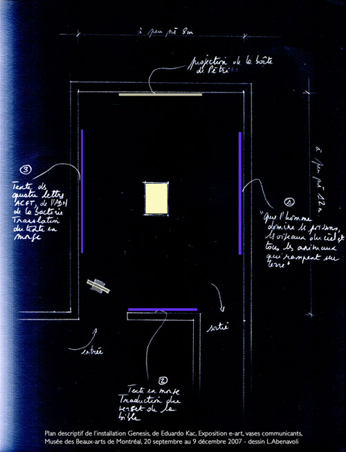 Genesis plan